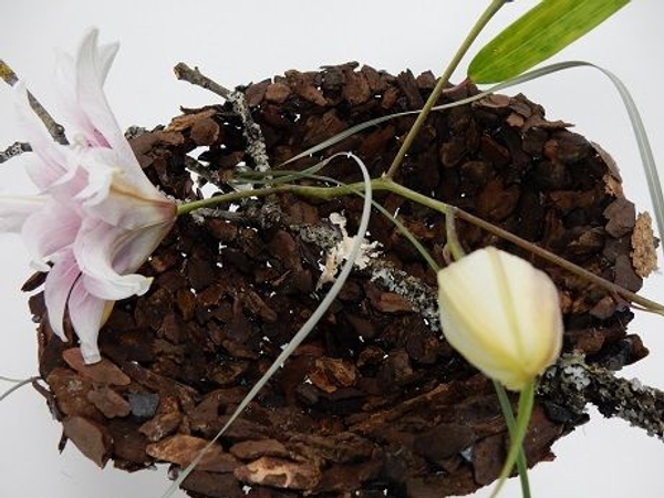 Rose lilies and bark design Rose lilies and bark design