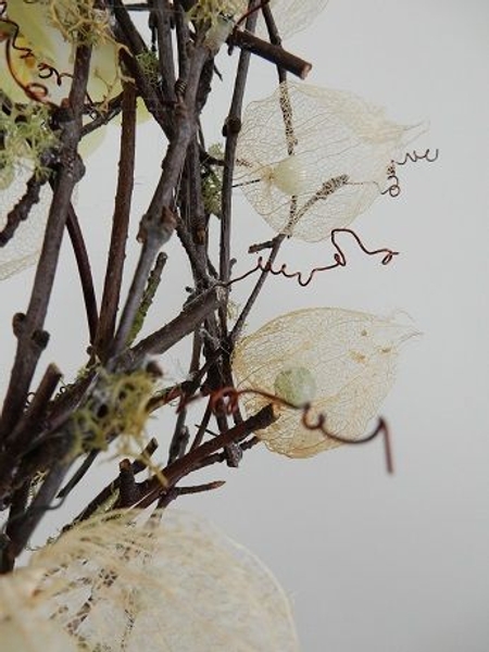 Skeleton Physalis pods Skeleton Physalis pods