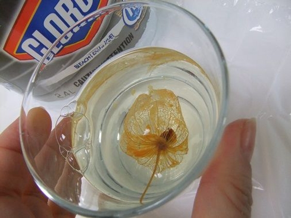 Soak the pod in bleach Soak the pod in bleach