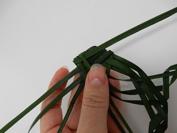The right blade folds to the left and the left blade over the right.jpg The right blade folds to the left and the left blade over the right.jpg