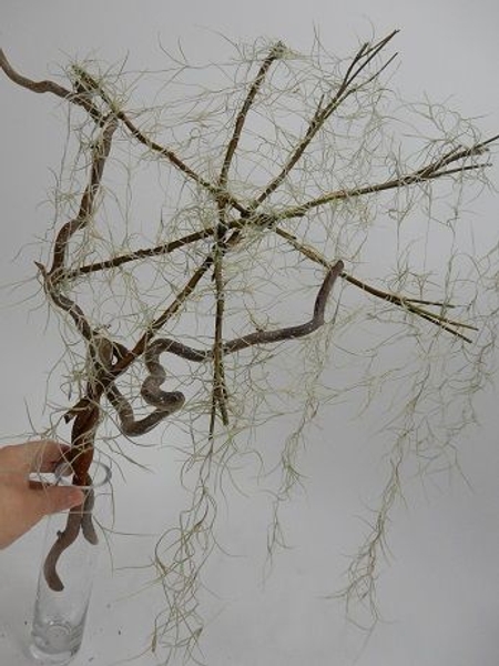 Add a few danglung strands of moss to make it look more natural Add a few danglung strands of moss to make it look more natural