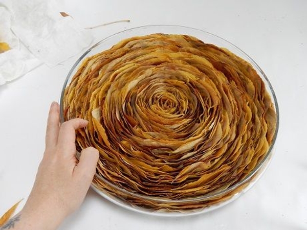 Autumn leaf swirl ready to design with. Autumn leaf swirl ready to design with.