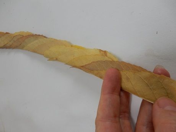 Continue to add leaves to create a new garland Continue to add leaves to create a new garland