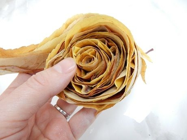 Continue to roll the leaf swirl Continue to roll the leaf swirl