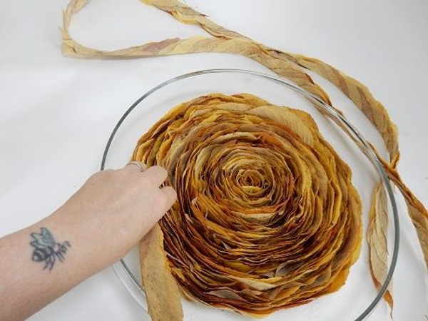 Continue to roll the swirl to fill the container Continue to roll the swirl to fill the container