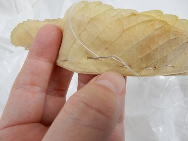 Nestle them in the first three leaves and stitch Nestle them in the first three leaves and stitch