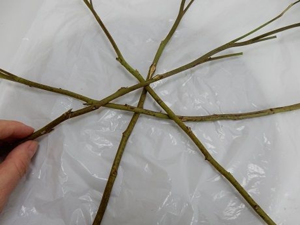 Place four twigs to overlap in a star shape Place four twigs to overlap in a star shape