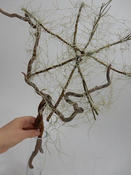 Place the twigs and web in a small vase to let it stand upright. Place the twigs and web in a small vase to let it stand upright.