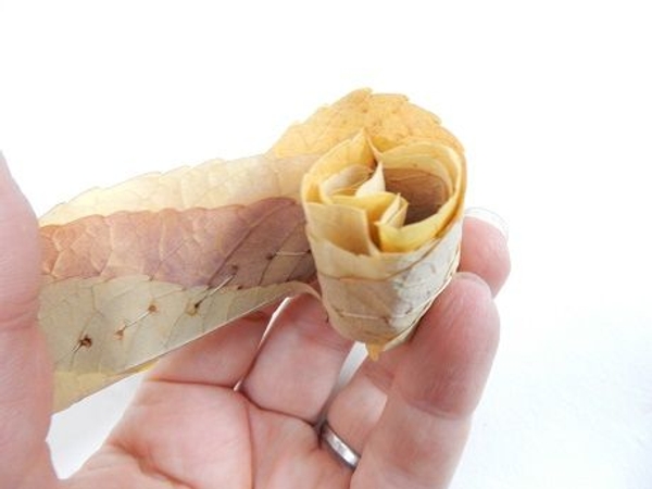 Roll the first bit loosely Roll the first bit loosely