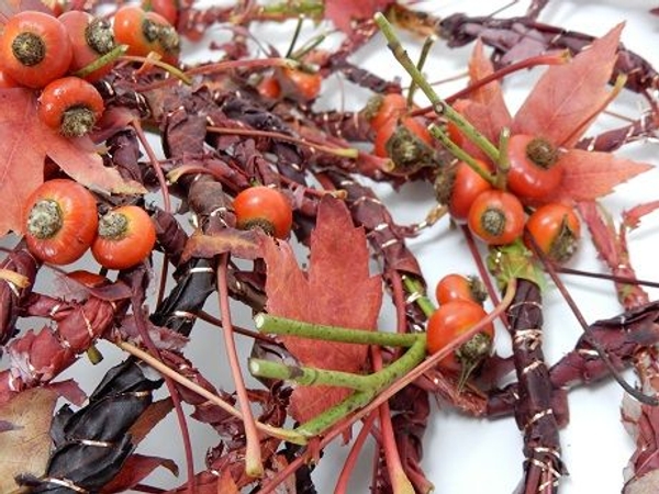 Rose hips and autumn leaves Rose hips and autumn leaves