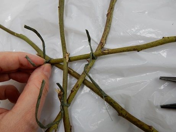 Secure each twig with bind wire. Secure each twig with bind wire.