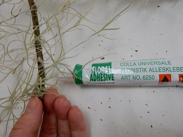 Secure the last strand with a tiny drop of floral adhesive Secure the last strand with a tiny drop of floral adhesive