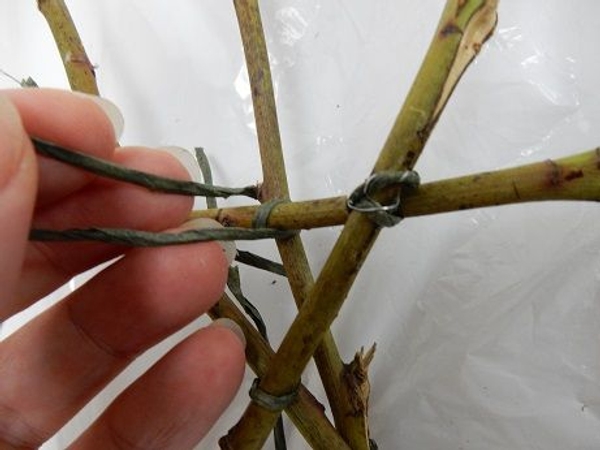 Tie the twigs together in a figure eight Tie the twigs together in a figure eight