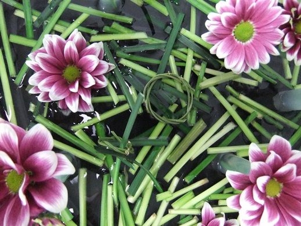 Tiny twig wreaths Tiny twig wreaths