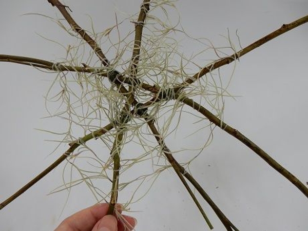 Wrap each twig twice and extend the strand to the next twig Wrap each twig twice and extend the strand to the next twig