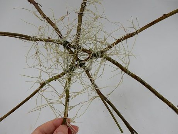 Wrap each twig twice and extend the strand to the next twig