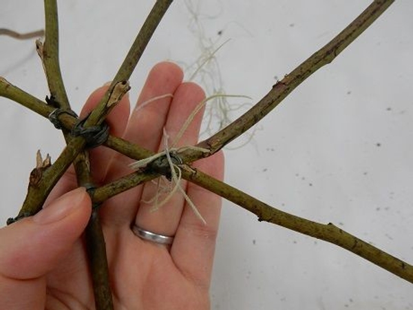 Wrap the strand around the first twig to cover the wire Wrap the strand around the first twig to cover the wire