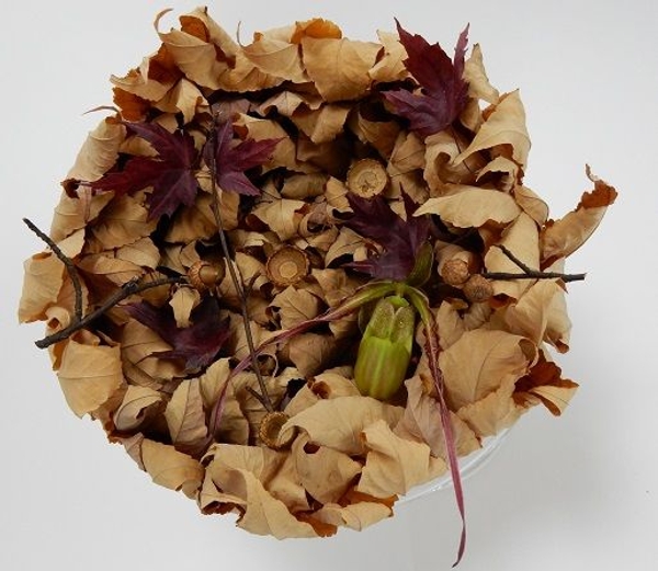All In One Floral Art Design All In One Floral Art Design