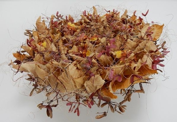 Autumn leaf rosette Autumn leaf rosette
