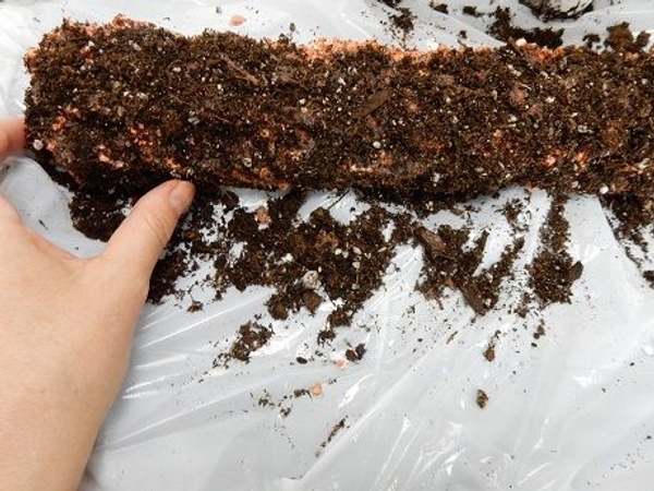 Cover the entire shape and set aside to dry Cover the entire shape and set aside to dry