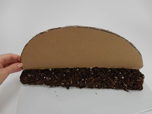 Cut a cardboard half circle that is exactly the same size as the ground foundation Cut a cardboard half circle that is exactly the same size as the ground foundation