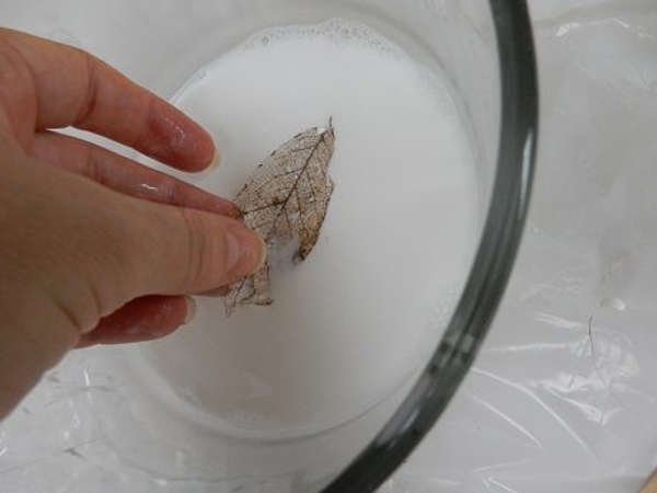 Dip a skeleton leaf into the glue mixture. Dip a skeleton leaf into the glue mixture.