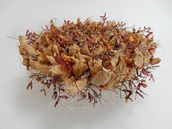 Forest Floor Floral Art Design Forest Floor Floral Art Design