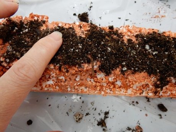 Gently pat the soil down to make sure it sticks Gently pat the soil down to make sure it sticks