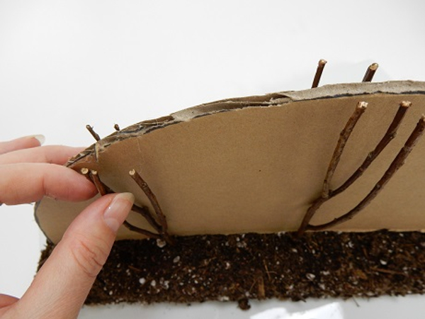 Gently push each twig down into the foundation until it exactly match the shape of the cardboard