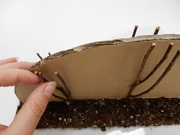 Gently push each twig down into the foundation until it exactly match the shape of the cardboard Gently push each twig down into the foundation until it exactly match the shape of the cardboard