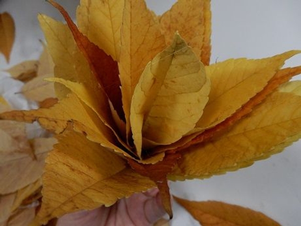 Keep adding autumn leaves Keep adding autumn leaves