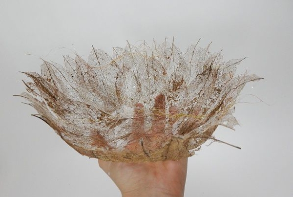 Lace fine skeleton leaf bowl ready to design with Lace fine skeleton leaf bowl ready to design with
