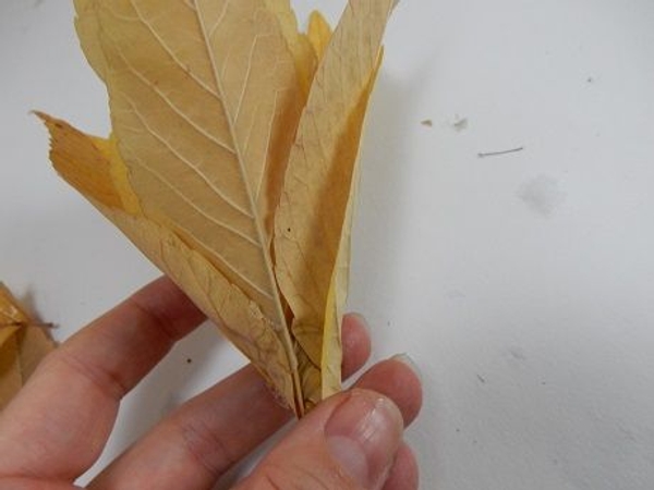 Secure the leaves with a few drops of glue to make it easier to handle Secure the leaves with a few drops of glue to make it easier to handle