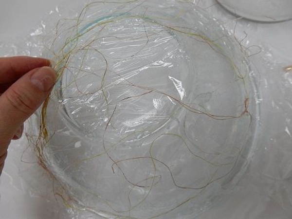 Spread the sisal thinly over the wrapped bowl. Spread the sisal thinly over the wrapped bowl.