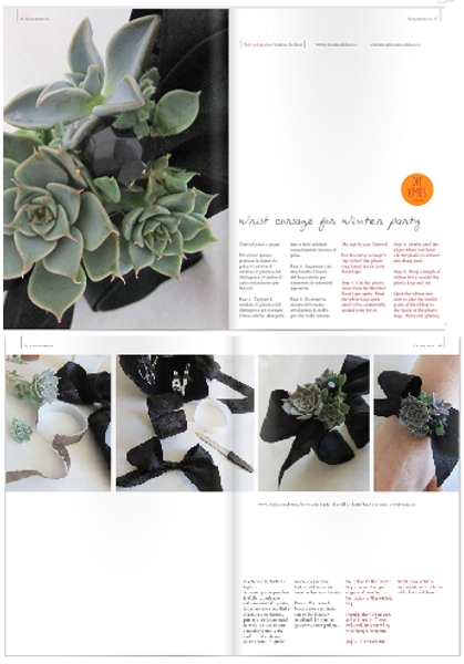 Succulent bracelet featured in Blossom Zine