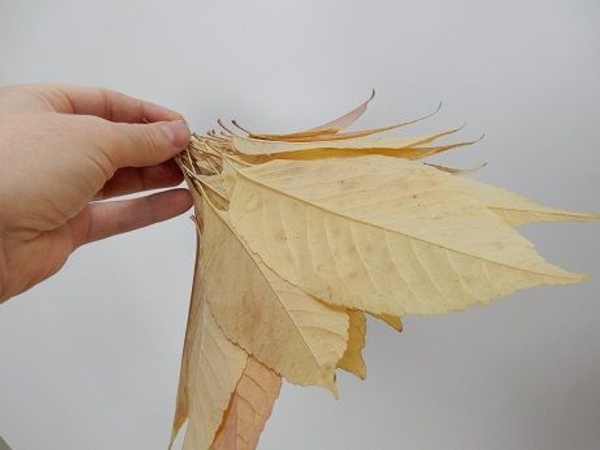 Turn the leaf posy stem side up Turn the leaf posy stem side up