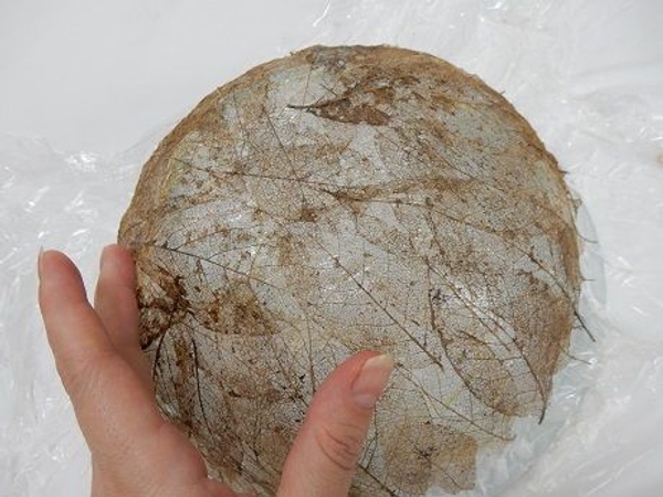 When the bowl is completely covered smooth down the leaves and set aside to dry completely When the bowl is completely covered smooth down the leaves and set aside to dry completely