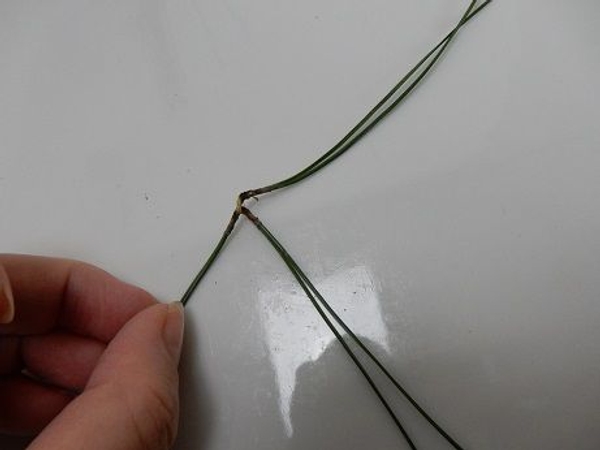 Glue on a third cluster Glue on a third cluster