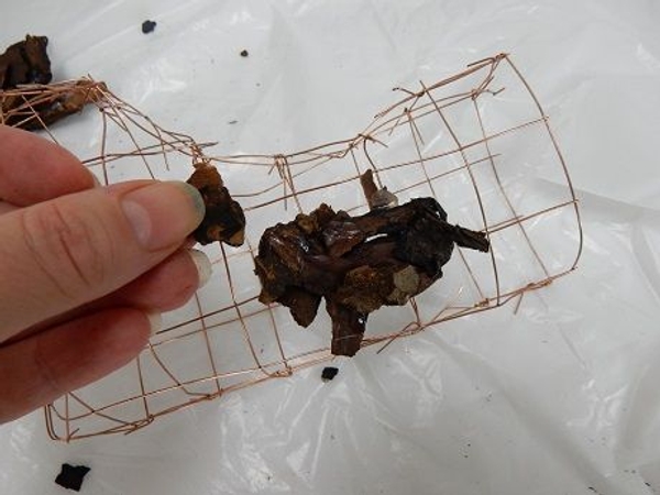 Glue the chips to the wire frame Glue the chips to the wire frame