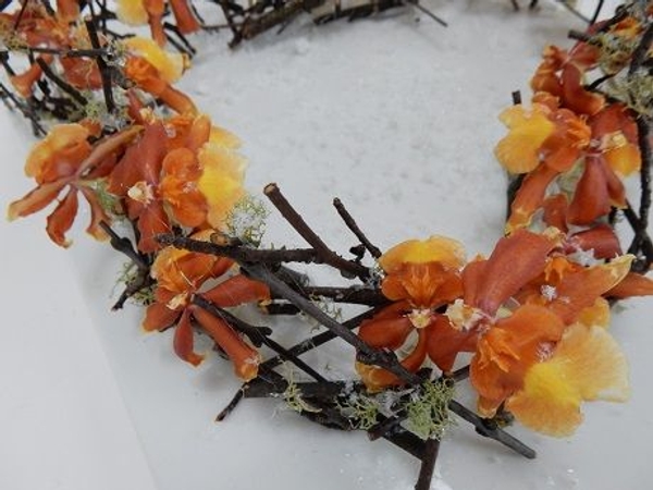 Oncidium orchids Oncidium orchids