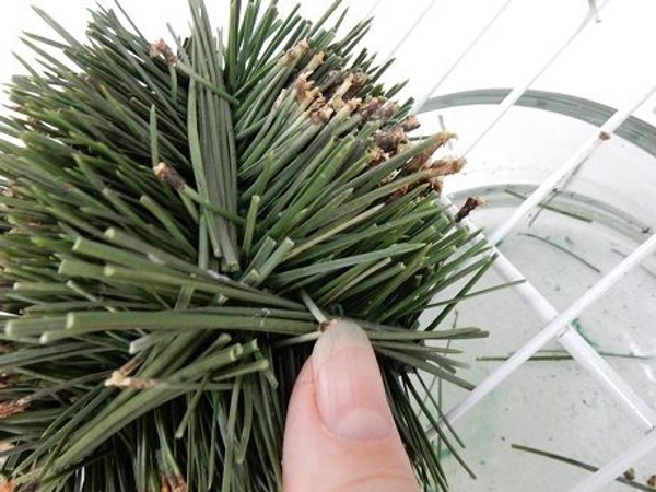 Peg a verticle bundle to cover the side edges Peg a verticle bundle to cover the side edges