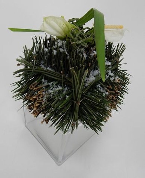 Pine needle cube Christmas design Pine needle cube Christmas design