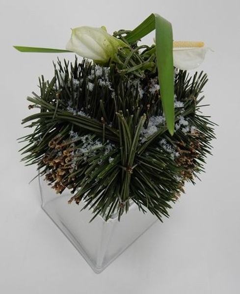 Pine needle cube Christmas design