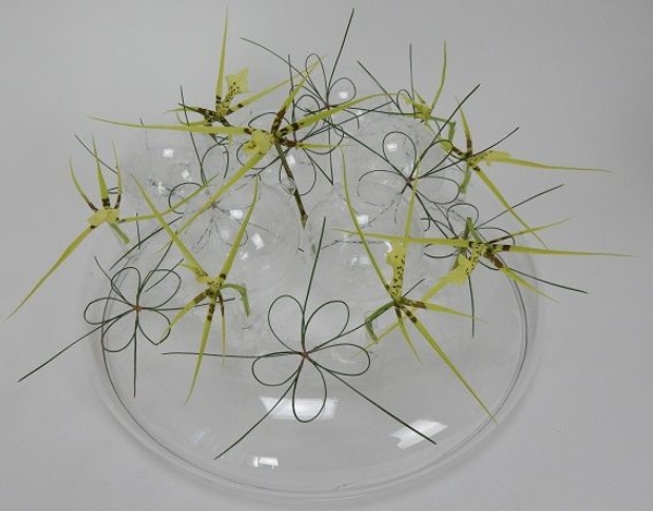 Star of Wonder floral art design Star of Wonder floral art design