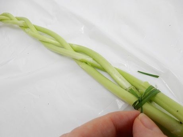 And secure the grass with a double knot And secure the grass with a double knot