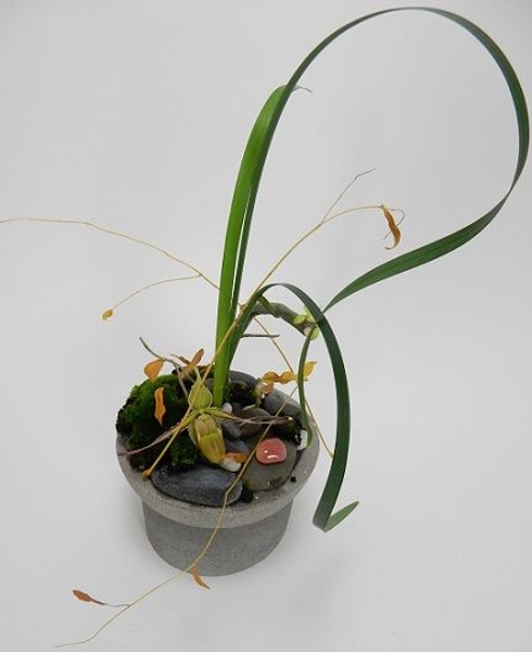 Any Which Way floral art design Any Which Way floral art design