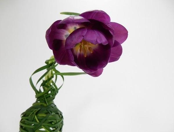 Braided Tulip flower head Braided Tulip flower head
