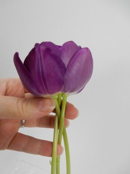 Carefully start to braid or plait the stems together Carefully start to braid or plait the stems together