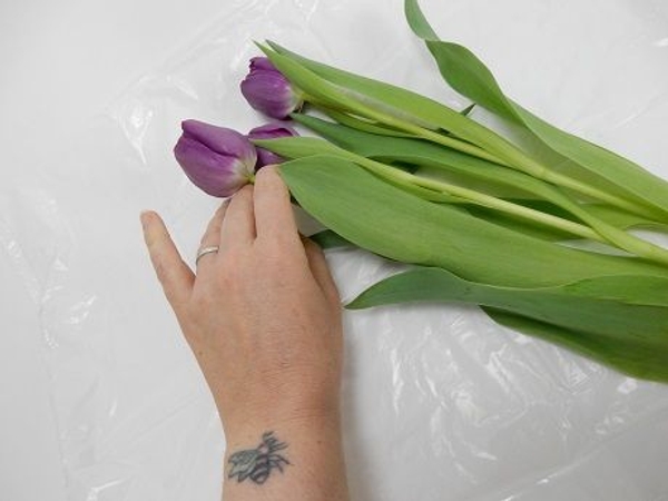 Choose three fully developed Tulip stems Choose three fully developed Tulip stems