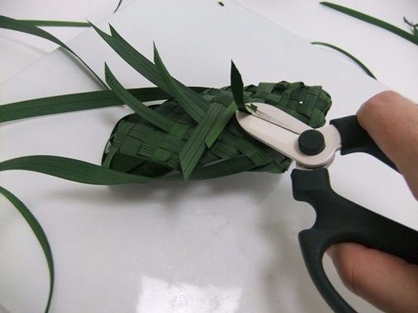 Cut away any left over leaves Cut away any left over leaves